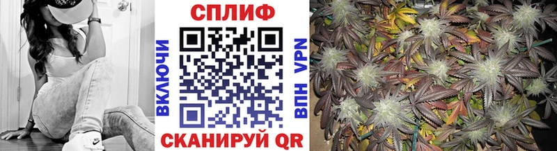 Бошки марихуана Bruce Banner Болотное